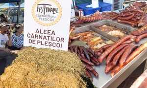 banner plescoi