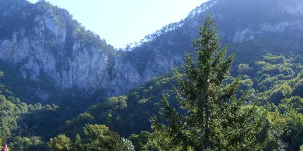 Reşiţa: Salvamontiştii au recuperat un tânăr care se rătăcise în zona Băile Herculane