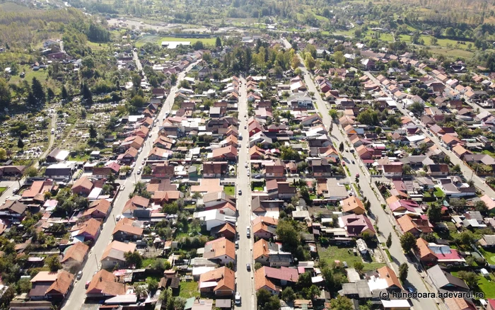 Colonie din Lonea. Foto: Daniel Guță. ADEVĂRUL