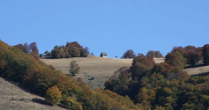 munte dambau zlatna