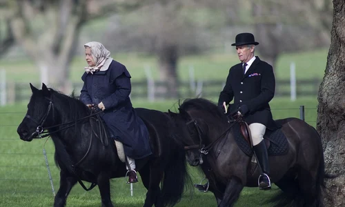 regina elisabeta jpeg