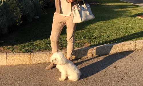 13230192 793848087413223 8937363760331841631 n jpeg