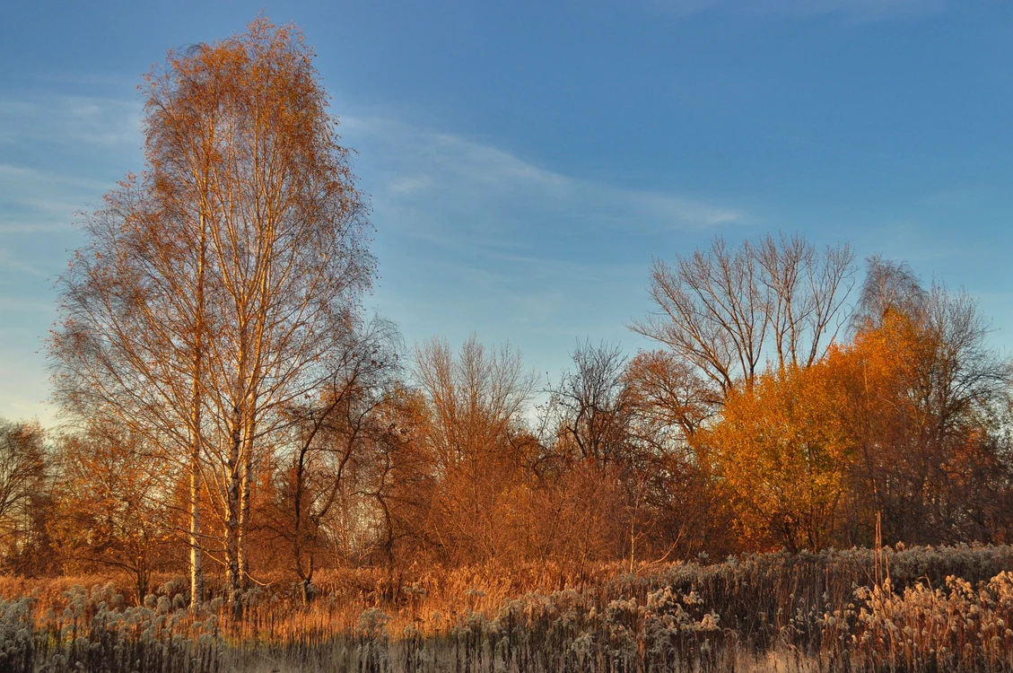 Toamna isi intra in drepturi Foto: Pixabay