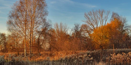 Peisaj de toamna FOTO Pixabay jpg