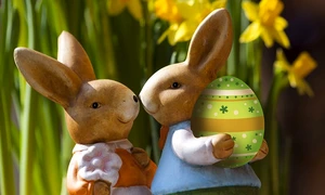 iepurasul de paste foto pixabay jpg