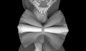 Dueluri, delfini şi papioane – serial de legi absurde jpeg