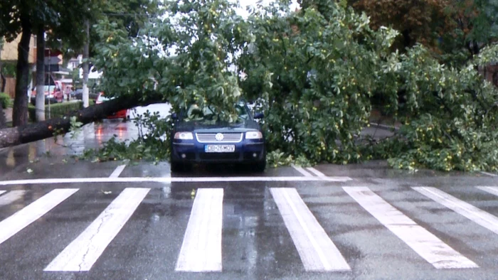 Traficul rutier a fost oprit pentru aproximativ o jumătate de oră