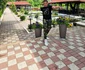 Mihai Trăistariu vrea și pensiune la munte foto: Facebook