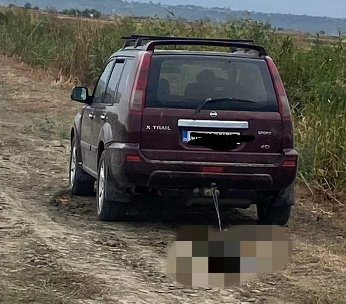 Polițiștii îl caută pe șoferul mașinii FOTO: Protecția Animalelor Galați/Facebook