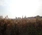 DSC06760 0 JPG