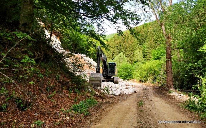 drum spre vadu dobrii hunedoara foto daniel guta adevarul