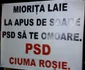 1000 de oameni în stradă la Baia Mare. FOTO Adevărul
