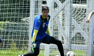 lung silviu jr rps8336 jpeg