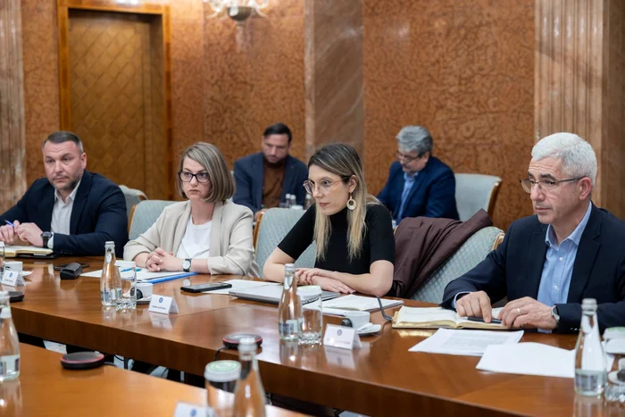 Ministrul Mediului Diana Buzoianu FOTO: Facebook