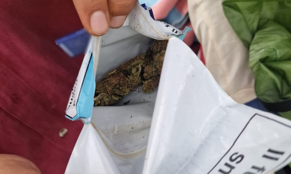 Ciuperci halucinogene şi cannabis la Vamă. Stupefiantele erau ascunse în torpedoul mașinii și în bagaje