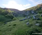 Fundătura Ponorului Foto Daniel Guță ADEVĂRUL (9) jpg