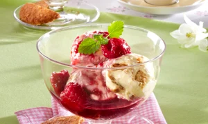 Cookie Ice Cream with Hot Raspberry Sauce jpeg