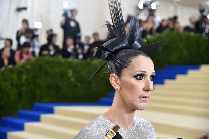 
    Celine Dion a reuşit ca până la vârsta de 50 de ani să strângă o avere estimată la 800 de milioane de dolariFoto: Guliver / Gettyimages  