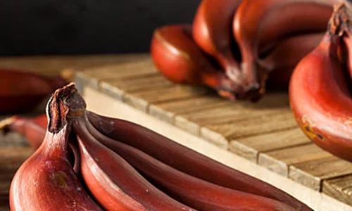 banane rosii istock jpg