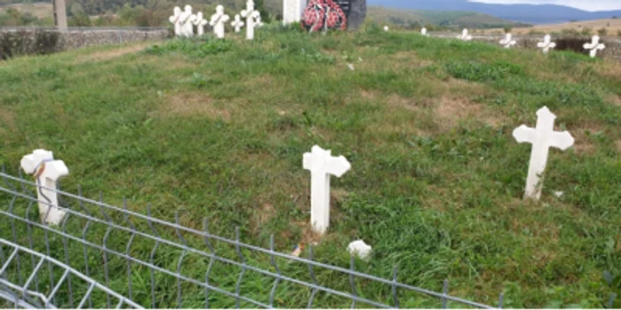 Trei cruci situate în perimetrul ansamblului monumental au fost distruse