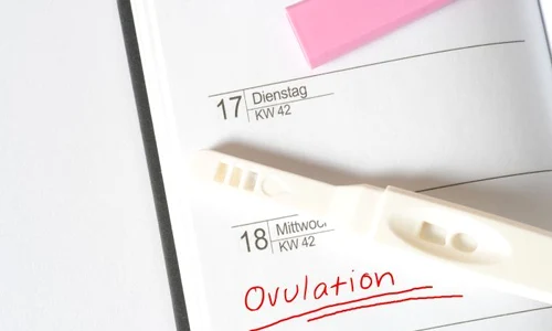 1 test ovulatie jpg jpeg