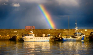 alexnewworld rainbow 7511876 jpg