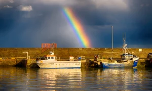 alexnewworld rainbow 7511876 jpg