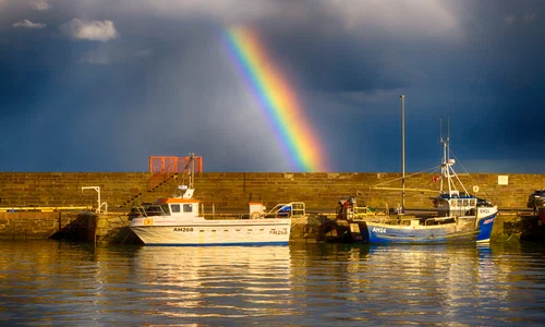 alexnewworld rainbow 7511876 jpg
