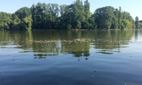 lacul herastrau jpeg