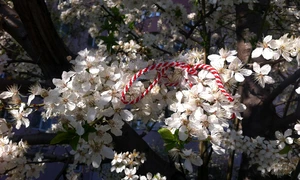 martisor primavara foto pixabay jpg