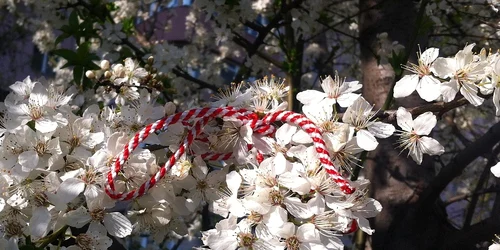 martisor primavara foto pixabay jpg