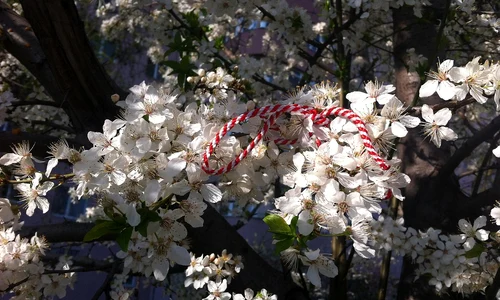 martisor primavara   foto pixabay jpg