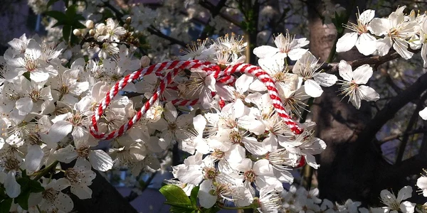 martisor primavara   foto pixabay jpg