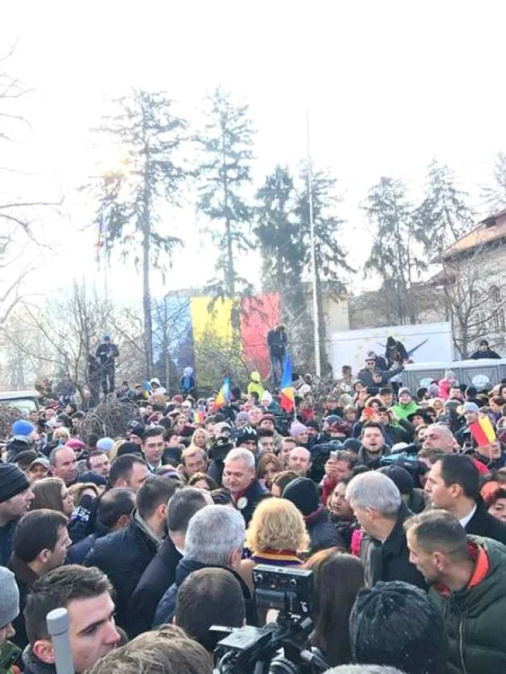 dragnea 1 decembrie