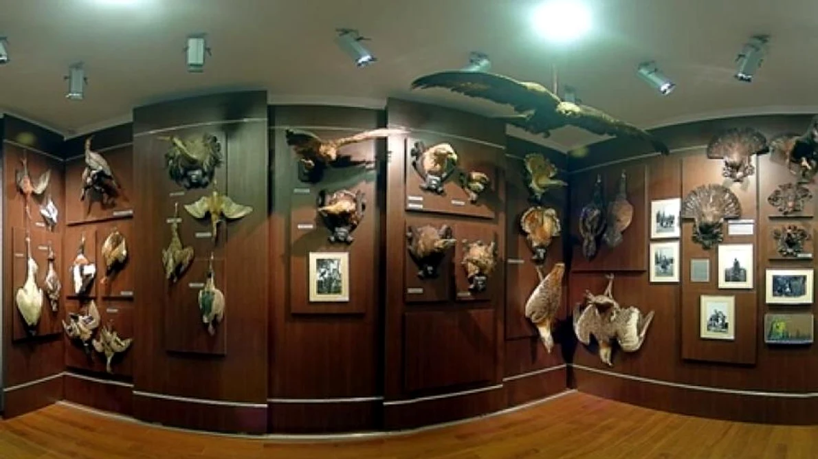 Expoziţie de arme, medalii şi decoraţii la Alba Iulia jpeg