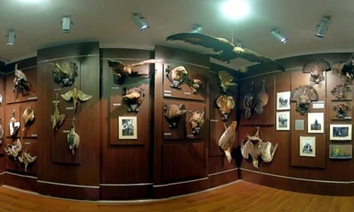 Expoziţie de arme, medalii şi decoraţii la Alba Iulia jpeg