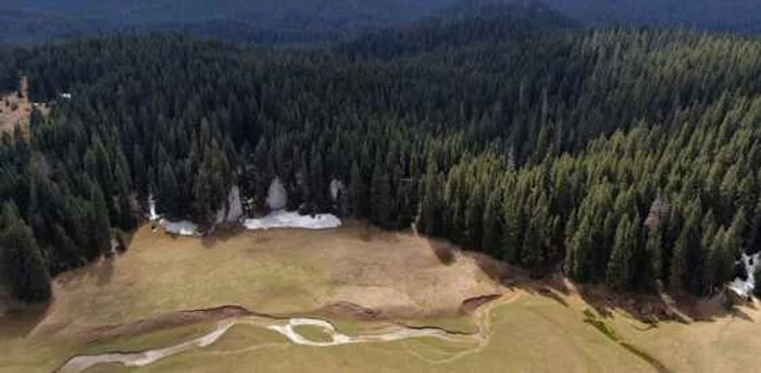 Poiana are un farmec cu totul deosebit. Foto: Parcul Natural Apuseni