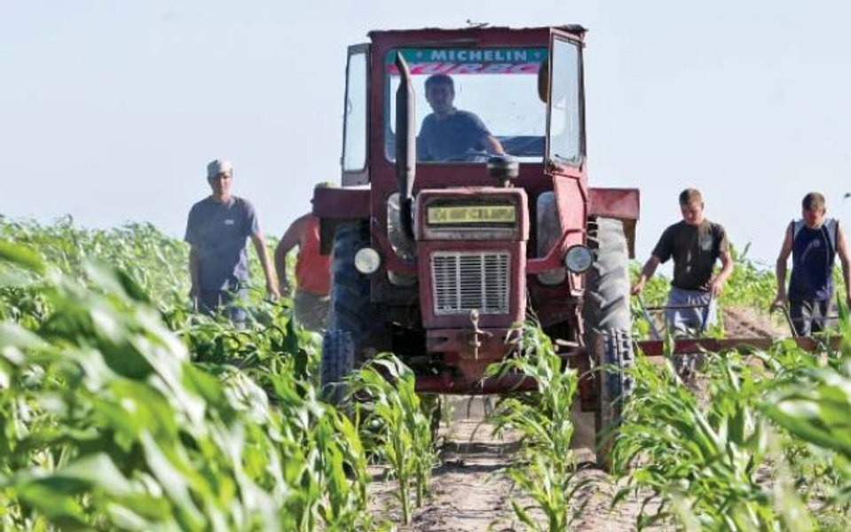 Fermierii români vor primi mai repede banii care vin de la Comisia Europeană. Când încep plățile 