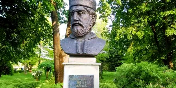 moise voda