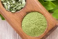 moringa1 jpeg