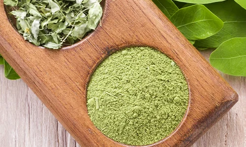 moringa1 jpeg