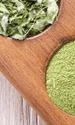 moringa1 jpeg