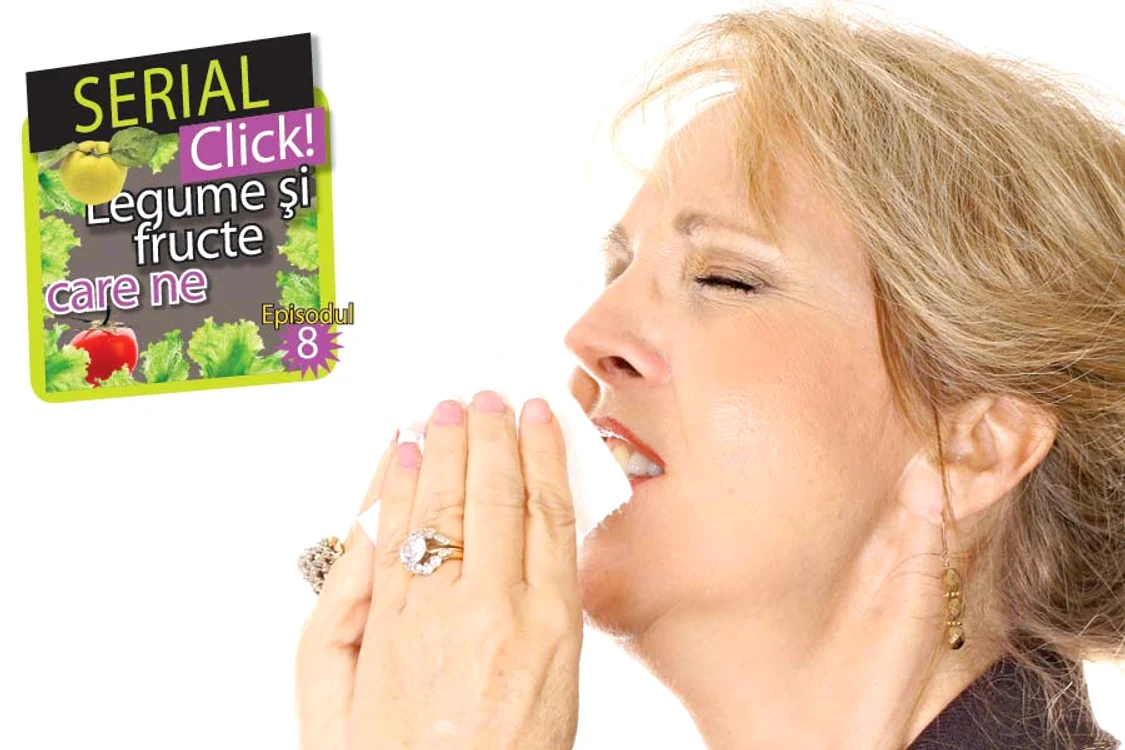 
    Legume si fructe  
