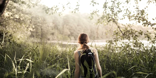 In mijlocul naturii Foto Freepik com jpg