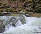 Valea Sibișelului din Hunedoara Foto Daniel Guță ADEVĂRUL (13) jpg