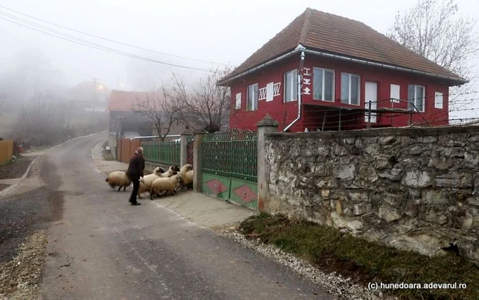 satul sohodol tinutul padurenilor foto daniel guta adevarul