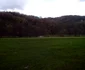 picnic