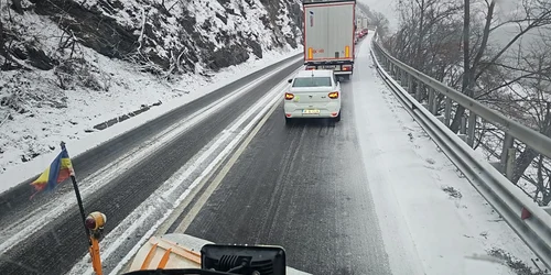 ninsoare valea oltului jpeg