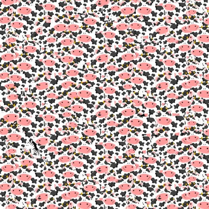 Zebra trebuie găsită în doar 9 secunde