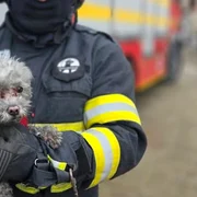 catel salvat de pompieri TOTO ISU GIURGIU jpg